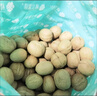 樓蘭蜜語新疆核桃3斤原味薄皮家庭量販七夕送禮盒每日堅果零食新疆特產(chǎn) 曬單實拍圖