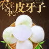 沙外秋香新疆白洋蔥新疆皮牙子不辣白洋蔥新鮮蔬菜生吃涼拌全國壞果包賠 3斤裝 曬單實拍圖
