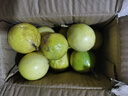 廣西欽蜜9號黃金百香果萬(wàn)澄當季新鮮大果黃皮果奶茶店水果 【1斤 約11-17個(gè)】單果30-45g 曬單實(shí)拍圖