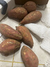 東東鮮到正宗山東煙薯爆甜新鮮香甜現挖番薯蔬菜水果 煙薯中果4.5斤（單果150g+） 曬單實(shí)拍圖