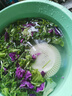 藍(lán)寶BLAUPUNKT果蔬清洗機(jī)食材凈化機(jī)無(wú)線便攜式水果蔬菜家用食材凈化機(jī)小型全自動(dòng)清洗蔬菜去農(nóng)殘 白色 曬單實(shí)拍圖