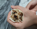 1號會員店 三丁糯米燒賣 紙皮燒賣 營養(yǎng)早餐燒麥 900g 曬單實拍圖