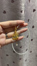 周生生永系列  足金樹(shù)葉型黃金吊墜女款 項墜不含素金項鏈 50461P計價(jià) 3.03克(含工費100元) 曬單實(shí)拍圖