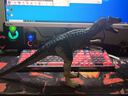 Jurassic World生日禮物侏羅紀世界哈蒙德大型收藏系列異特龍恐龍仿真模型JCG13 曬單實拍圖
