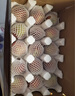 京鮮生 山東蒙陰水蜜桃凈重4.5斤 單果150g+毛桃子 生鮮水果 源頭直發(fā) 曬單實拍圖