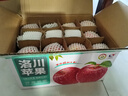 洛川蘋(píng)果陜西延安特產(chǎn)紅富士時(shí)令蘋(píng)果水果禮盒送蘋(píng)果生鮮新鮮脆甜整箱批發(fā) 凈重8.5斤80-85mm 鉑金大果脆甜 曬單實(shí)拍圖