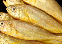 冰鮮部族小黃魚 新鮮冷凍海鮮深海黃花魚 活魚速凍燒烤食材 【新鮮海捕】深海小黃魚4斤 曬單實(shí)拍圖