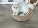 豪寵它劍麻繩新型貓抓板窩貓咪寵物用品抓架耐磨不掉屑超大號四季通用全 圓形劍麻貓抓盆-50cm直徑大空間 曬單實(shí)拍圖
