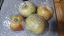同甘園JD順豐山西嘎啦蘋(píng)果新鮮水果當季整箱現摘早熟紅富士冰糖小蘋(píng)果 帶箱5斤精選好果 60-65mm凈4.5 曬單實(shí)拍圖