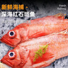 朵芙 海參斑魚(yú) 多規格 紅魚(yú)凈重 紅石斑魚(yú)大眼魚(yú)富貴魚(yú)深海魚(yú)生鮮魚(yú)類(lèi) 【特大紅石斑】1.7-2斤*4條裝 曬單實(shí)拍圖