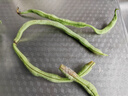 高山四季豆新鮮應季蔬菜豆角豆青現摘現發(fā)炒熟食用京東物流 帶箱2斤 曬單實(shí)拍圖