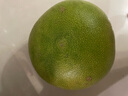 京鮮生 泰國青柚 青皮白心蜜柚 1粒裝 單果600g+ 源頭直發(fā)包郵 曬單實(shí)拍圖