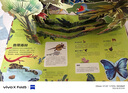 青葫蘆那么大動物立體書兒童3d立體翻翻機關(guān)繪本3-6-10歲以上圖畫書小學生讀物一二年級故事神奇昆蟲科普百科全書益智玩具生日禮物 那么大！立體書：動物 曬單實拍圖