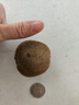 京覓 陜西徐香綠心獼猴桃奇異果15粒單果60-80g 生鮮水果 源頭直發(fā) 曬單實(shí)拍圖