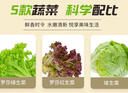 一號農場(chǎng)混合沙拉組合開(kāi)袋即食470g代餐輕食9種蔬菜源頭直發(fā) 曬單實(shí)拍圖