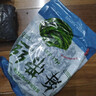 鮮海帶 鹽漬海帶絲 涼拌菜海帶絲食材鮮嫩 新鮮鹽漬海帶絲250g 曬單實(shí)拍圖