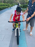 鳳凰兒童自行車男女寶寶小孩山地車3-5-6-8-10-12-16歲學(xué)生腳踏車禮物 【標(biāo)配單速】歐碧綠+禮包 20寸【帶腳撐】 曬單實(shí)拍圖