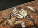 家樂氏（Kellogg）進(jìn)口谷脆格300g/盒兒童營養(yǎng)巧克力可可谷物脆即食麥片早餐下午茶 曬單實(shí)拍圖