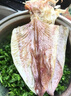 彩雙海燒烤魷魚干手撕芥末魷魚干淡干新曬北海大小尤魚干燒烤專用 A4魷魚干500g【38-42條】 曬單實(shí)拍圖