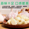 金鄉(xiāng)大蒜【原產(chǎn)地直銷】山東金鄉(xiāng)干蒜大蒜頭紫白皮蒜批發(fā)自種蒜瓣2025新蒜 凈重5斤 優(yōu)選中果 ≥45mm 曬單實(shí)拍圖