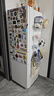 美的（Midea）230/190雙門三門冰箱小戶型家用租房宿舍節(jié)能省電可冷藏冷凍自動(dòng)低溫補(bǔ)償家用小冰箱 以舊換新 【三門熱銷爆款】MR-230TE 曬單實(shí)拍圖