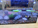 全光譜led魚缸燈缸燈水族箱魚缸照明燈架LED水草燈 12瓦藍白光48cm（適合50-60cm魚缸） 四排燈珠 曬單實拍圖