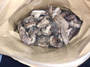 新香菇500g干貨無(wú)干燥劑商用涮鍋食材冬菇高山菇煲湯炒菜燒烤散裝 100g干香菇 曬單實(shí)拍圖