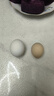鮮雞蛋50±5克/枚 柴雞蛋農家散養笨雞蛋 新鮮雞蛋 30枚 曬單實(shí)拍圖