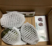 京鮮生 秘魯即食牛油果大果6粒裝 單果130g起 源頭直發(fā) 包郵 生鮮水果 曬單實(shí)拍圖
