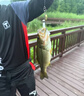 SHIMANO禧瑪諾25款磯釣竿竿釣魚(yú)竿投路亞竿碳素竿漁竿泛用超遠投海竿 5.0m 25款 BASIS BG 4-500 曬單實(shí)拍圖