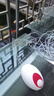 老漁匠魚(yú)缸氧氣泵隔音增氧機中型家用充氧機養魚(yú)用增氧機增氧泵大功率 8W雙孔+10CM海洋之心套裝 曬單實(shí)拍圖