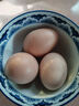 天雨妙花皖北泉河畔酵素生態(tài)散養土雞蛋初生蛋月子蛋健康蛋潁東土雞蛋 土雞蛋30枚 曬單實(shí)拍圖