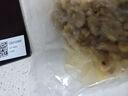 蟹君寶花甲肉鮮活花甲剝?nèi)鉄o沙蛤蜊肉蟶子肉黃蜆子肉花蛤肉海鮮水產(chǎn)商用 大號花甲肉1500克*1包【保證無沙】 曬單實拍圖