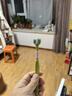 RAOYI胖東來同款三面牙刷軟毛成人男女士牙刷360°立體便攜式牙刷3支 曬單實(shí)拍圖