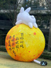 創(chuàng)維冰箱家用超薄雙開對開門416L變頻保鮮風(fēng)冷無霜冷藏冷凍嵌入式雙開門節(jié)能保鮮 曬單實拍圖
