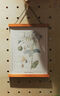 松下S9（18-40mm F4.5-6.3）套機(jī)（Panasonic） 全畫(huà)幅微單 實(shí)時(shí)Lut 濾鏡直出 連接app極速分享-橙 曬單實(shí)拍圖