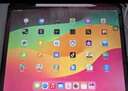 圖拉斯極透磁吸類(lèi)紙膜【首發(fā)即霸榜】適用2025iPadAir7/6 Pro2024/22/21/5/4超清滲透紙質(zhì)繪畫(huà)保護膜 【磁吸式&旗艦國譽(yù)紙感】強磁書(shū)寫(xiě)感 【iPad Pro】12.9英寸 曬單實(shí)拍圖