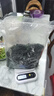 大連 鮮海帶 裙帶菜 海帶嫩苗兒童海白菜 海藻菜 裙帶菜葉5斤 曬單實(shí)拍圖