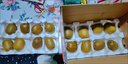 佳沛（zespri）綠奇異果經(jīng)典果16粒禮盒單果約86-103g 水果 獼猴桃 曬單實(shí)拍圖
