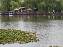 優(yōu)衣庫(kù)女裝彈力喇叭褲/聰明褲西褲通勤褲子479721 09 黑色 L /160/72A 曬單實(shí)拍圖