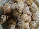 果犇犇東北姑娘果特大應季燈籠果水果新鮮現貨甜菇?jīng)霎敿菊潼S菇娘果 1斤優(yōu)品裝 曬單實(shí)拍圖