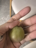 京鮮生 陽光玫瑰葡萄 青提4-4.5斤禮盒裝 單果約10g 生鮮水果 中秋禮盒 曬單實拍圖