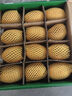 佳沛（zespri）新西蘭 陽(yáng)光金果12粒單果約122-146g 獼猴桃 中秋水果禮盒 曬單實(shí)拍圖