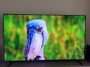 Vidda X Mini 2026款 海信電視 75英寸 超高刷QD-Mini LED 以舊換新家電國(guó)家補(bǔ)貼液晶AI電視75VX3Q 曬單實(shí)拍圖
