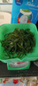 鮮海帶 鹽漬海帶絲 海帶涼拌菜鮮嫩 鹽漬海帶絲150g 曬單實(shí)拍圖