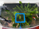 AMTRA TECHNIK德國安彩壁掛過(guò)濾器ex450魚(yú)缸過(guò)濾器龜缸低水位 EX450 新版除油膜【內含濾材】 曬單實(shí)拍圖