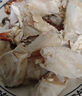 舟山梭子蟹鮮活特大野生大螃蟹新鮮冷凍海鮮水產(chǎn)海蟹飛蟹白蟹順豐 9兩以上/只【5斤凈重 超大肥美】 曬單實拍圖