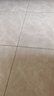 鐵藝床1.8米x2米單雙人床架1.5x2米鋼架出租屋儲(chǔ)物金屬軟包排骨床 升級(jí)加厚白色床架【平尾款】 1.2*1.9/2.0m【默認(rèn)2.0m】 曬單實(shí)拍圖