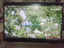 戴爾（DELL） 靈越16Plus 16英寸大屏創(chuàng)作本補貼20%設(shè)計師學(xué)生辦公剪輯游戲制圖輕薄筆記本電腦 13代標壓i5-13420H 2.5K護眼屏 銀色 16G內(nèi)存 1TB高速固態(tài) 標配 曬單實拍圖