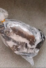 大用白鳳烏雞凈重4斤（2斤*2只）冷凍 十全烏骨雞 農家土雞月子雞燉湯 曬單實(shí)拍圖